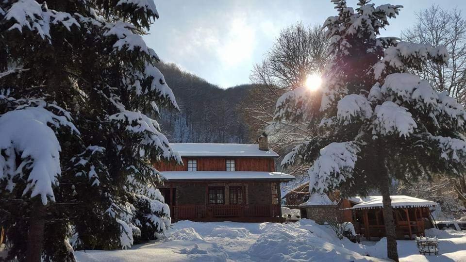 Turistichki Kompleks Bela Voda Hotel Dvoriste Exterior photo